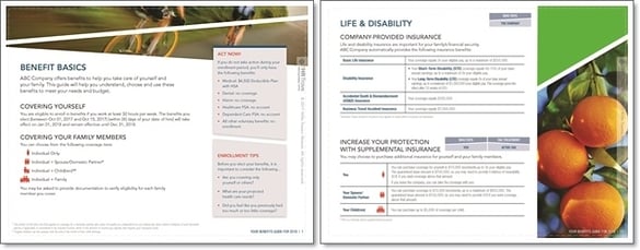 Enrollment guide example pages